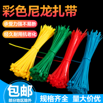 3*100 color small cable tie Red Yellow Blue brown green plastic nylon cable tie flower gardening green landscape strap strap