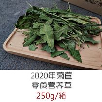 98]New product 2021 dried chicory hay snack grass Functional nutrition hay to improve taste