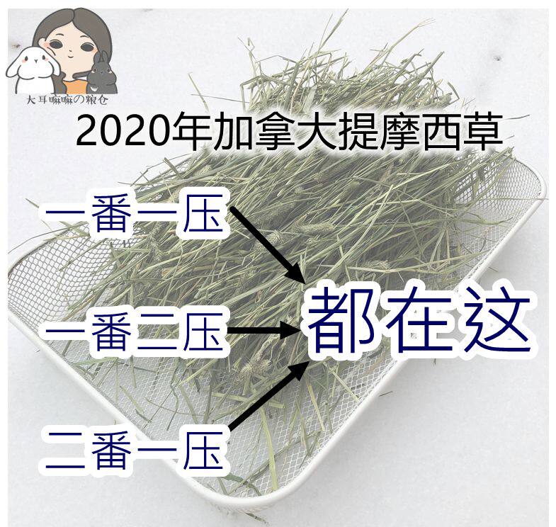 Five bags) 2020 Canadian grass a two-pressure full-bar grass rabbit a guinea pig grinding teeth press grass