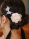 [樱花粉一朵花]