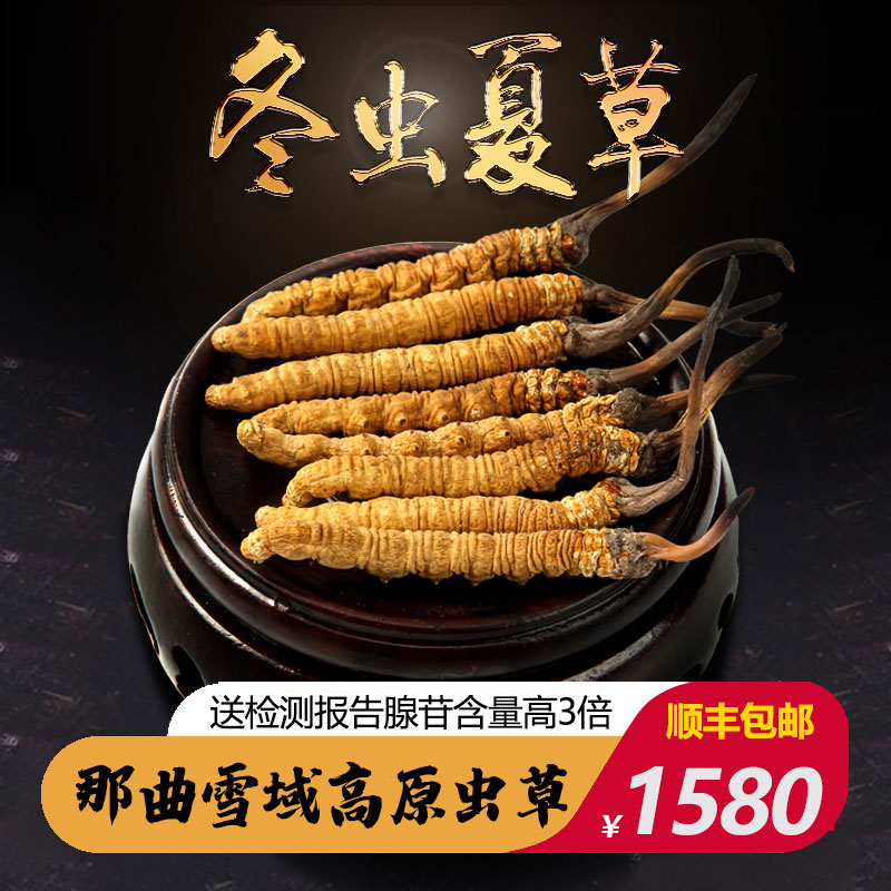 Moisturizer Caterpillar Fungus Flagship Store 10 gr 30 Head Period Dry Goods Caterpillar Fungus Whole 50 Gift Boxes Clothing