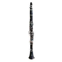 Zingbao card JBCL-500 drop of B tone 17 key clarinet black tube beginner entrance performance