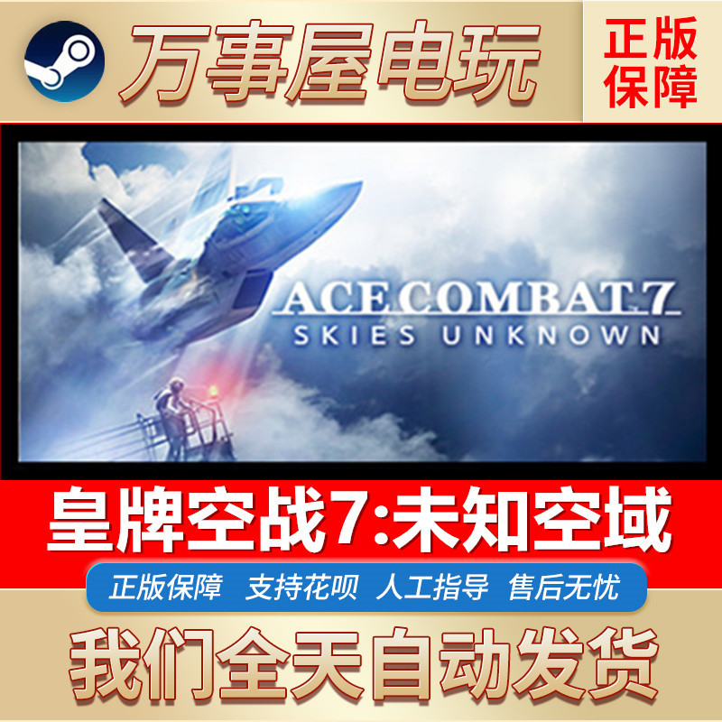 Pc Chinese Version Steam Ace Combat 7 Skies Unknown