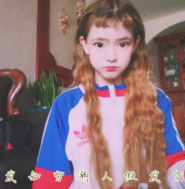 Perruque Les cheveux longs - Ref 2609100 Image 12