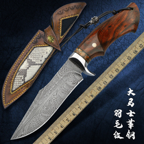 Climber imported feather pattern Damascus steel knife hand forged knife outdoor portable knife high hardness small straight knife