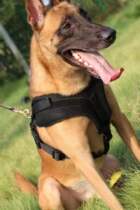 Tracking Harness Dog Training Supplies Lightweight Training Dog Harness Breathable Mesh Harness Dog Training Supplies