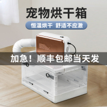 Pet Drying Box Kitty Blow Blow-drying Household Pooch Blow Water Machine Kitty Bath Dryer Muted Fully Automatic