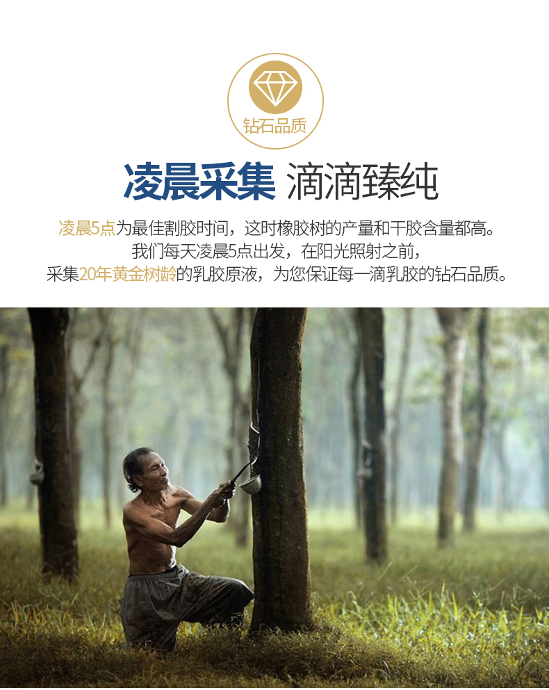玺堡 泰国进口乳胶枕 图3
