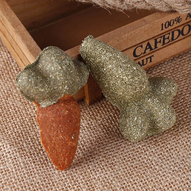 (Silly Dragon Cat) 1 Loaded Carrapper Grass Cake Dragon Cat Rabbit geranium Guinea Guinea Pig Grindroe Grindroe