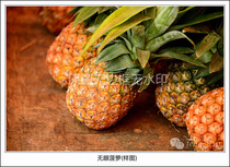 Original photographic work-no eye pineapple high-definition digital electronic photo JPG photo material static fruit pineapple