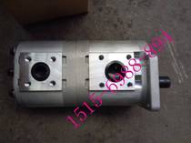 Changyuan CBQL-F525 F520-CFHL CFPL original HCHC Hefei Changyuan hydraulic double gear oil pump