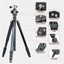 Net Red Live Photo photography tripod tripod monopod metal aluminum alloy pan tilt Canon Nikon