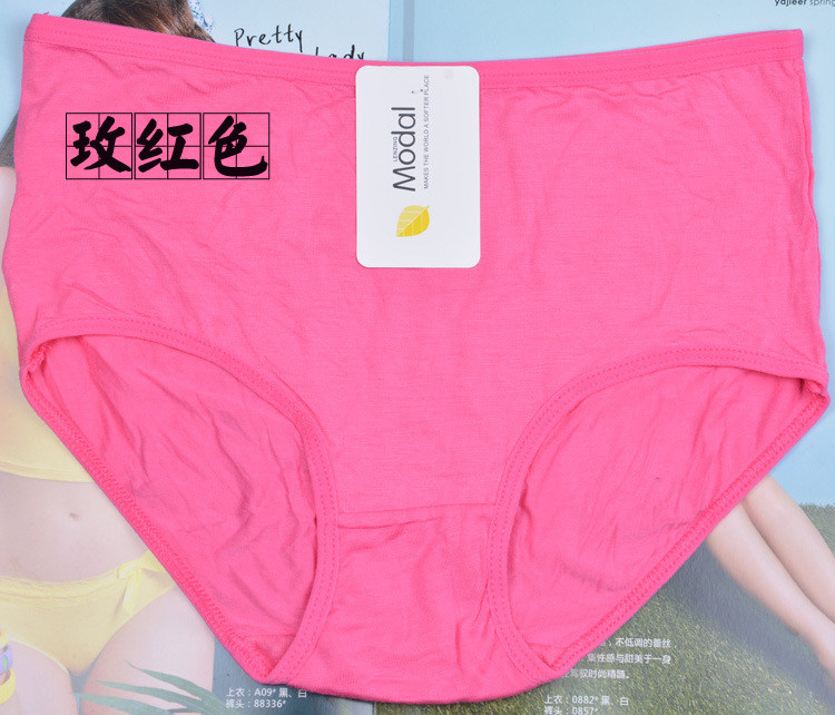 Slip jeunesse en coton - Ref 644063 Image 50