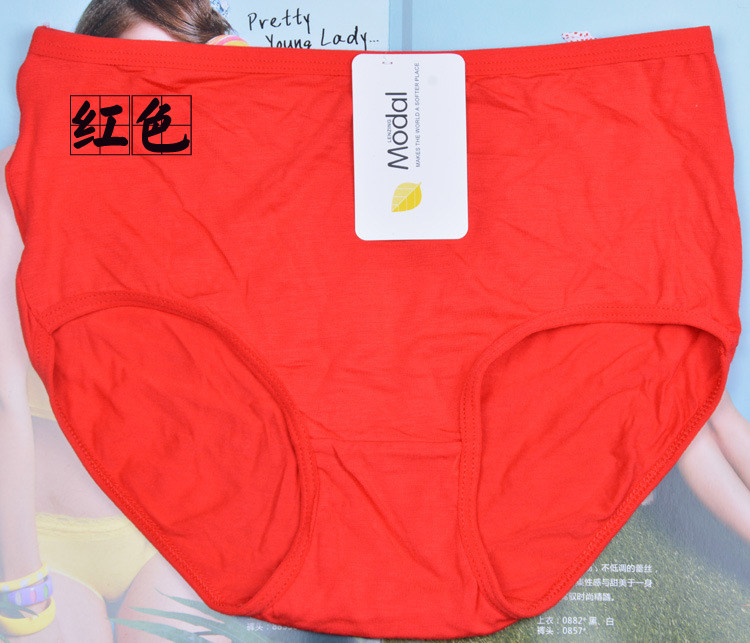 Slip jeunesse en coton - Ref 644063 Image 51