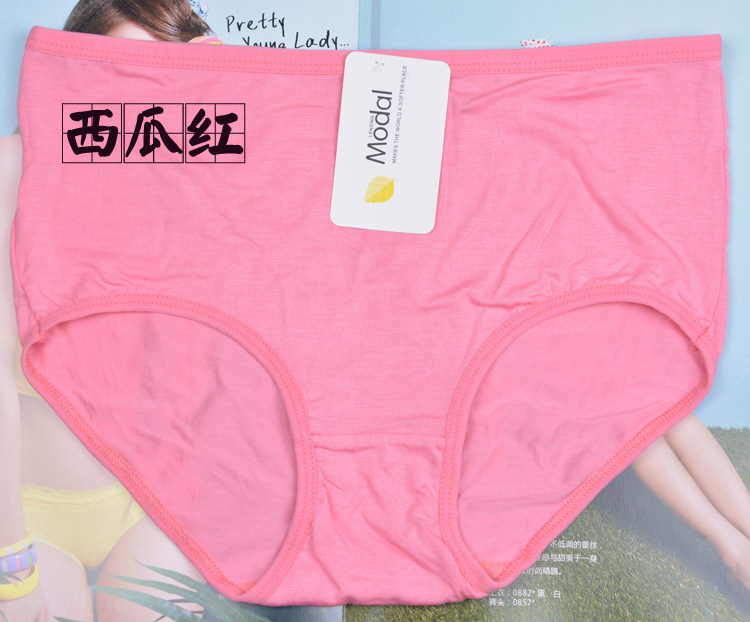 Slip jeunesse en coton - Ref 644063 Image 48