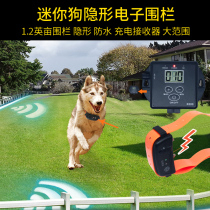 Pet Electronics Fencing Anti-Loss Dog Trainer Warning Sound Electric Shock Invisible Fence Electric Shock Item Ring