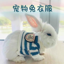Pet rabbit clothes super small size cute ear-hanging rabbit dwarf rabbit baby rabbit Dutch pig go out special supplies
