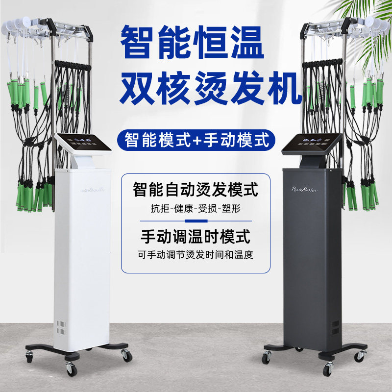 New Products Bronzing Machine Hot Stamping Machine Beauty Hair Shop Special Intelligent Thermostatic Single Hole Lengthened Bar Digital Perming Machine-Taobao