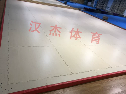 Профессиональные спортивные эстетические поля.