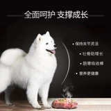 Коробка общего корма для собак 40 фунтов для самоедов, золотистых ретриверов и лабрадоров, специальная коробка для хранения взрослых собак средних и крупных размеров.