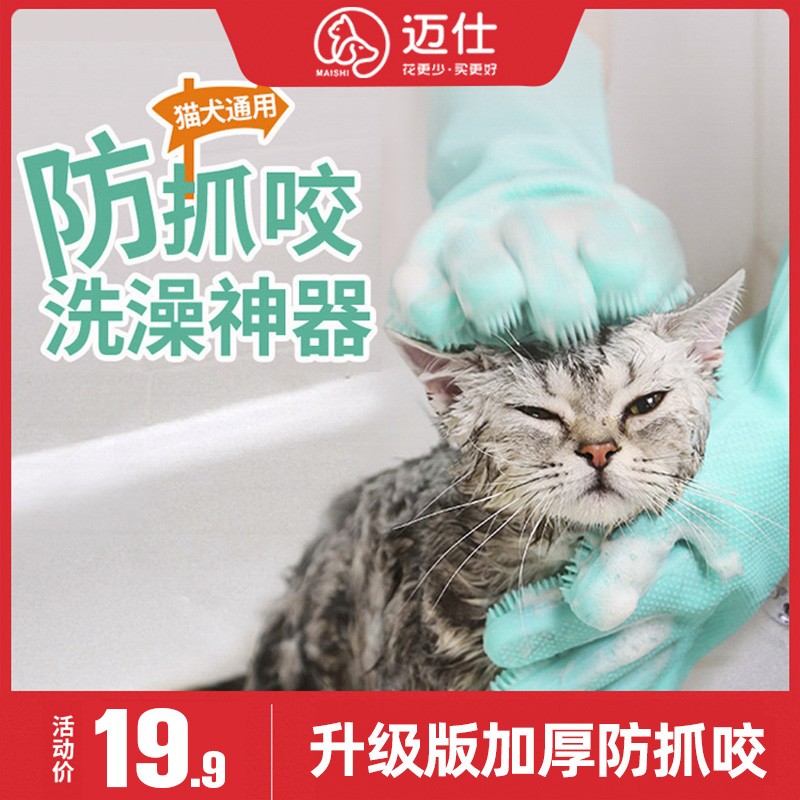 Pet pooch bathing gloves with brushed shower Divine Instrumental Kitsch Cat Wash cat brushes for dog brushed dogs Anti-grab bite supplies