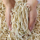 Dried papaya shreds, Guangxi Hengxian fresh wood claw silk, special specialties, dried vegetables, dry goods, sun-dried papaya strips