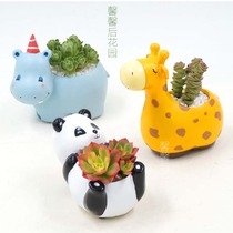 Creative cute cartoon fleshy animal flowerpot hippo giraffe plant decoration flower machine desktop potted ornaments