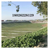 Guangzhou promotion coverage anti-counterfeiting star camouflage net color camouflage cloth green enclosure cover Mountain anti-slap cover net