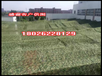 Wenzhou spot sent to the door anti-aerial camouflage camouflage net cover green plant cover Mountain Green sunshade net