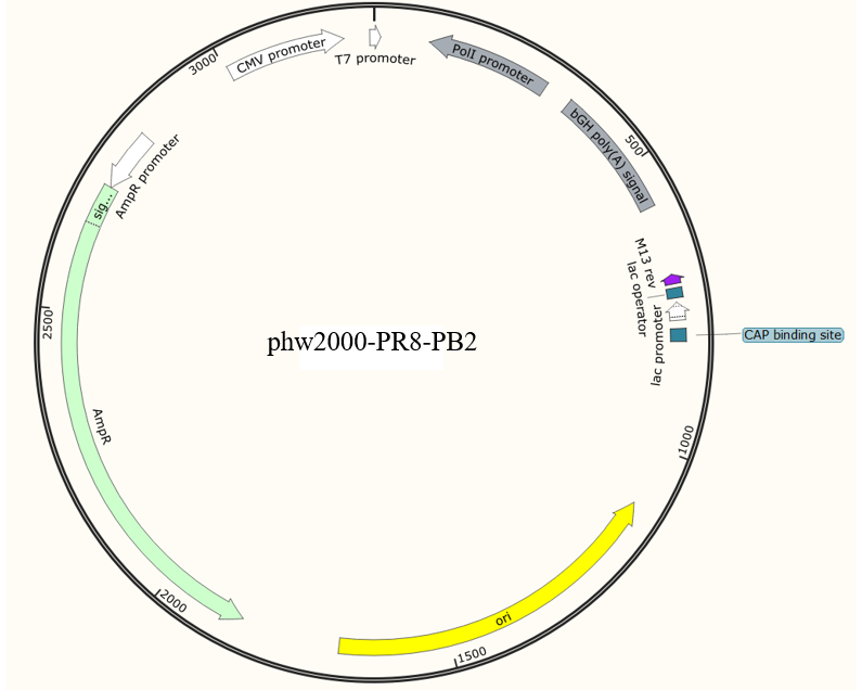 phw2000-PR8-PB2