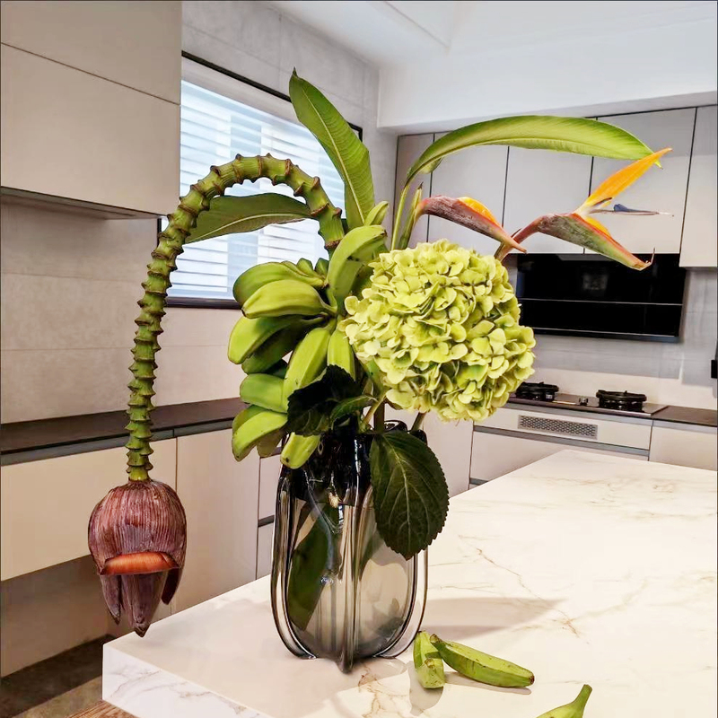 Fresh-Cut Banana Plants with Flowers, Water-Cultivated Office Greenery, Anxiety-Relieving Flowers, Hydroponic Minimalist French-Style High-End Decor