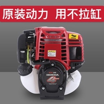  Lawn mower power host GX35 Honda king Yamaha four-stroke two-stroke brush cutter engine head gasoline engine