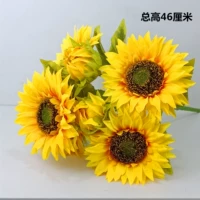 5 цветов и 2 подсолнечника