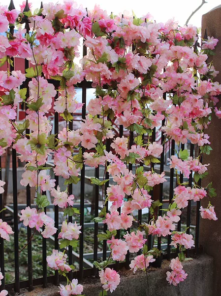 Товары от 百花奇缘花房