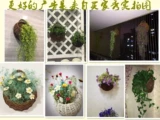 Висящая корзина стена -Цветочный горшок с кусочкой для корзины для корзины виноград