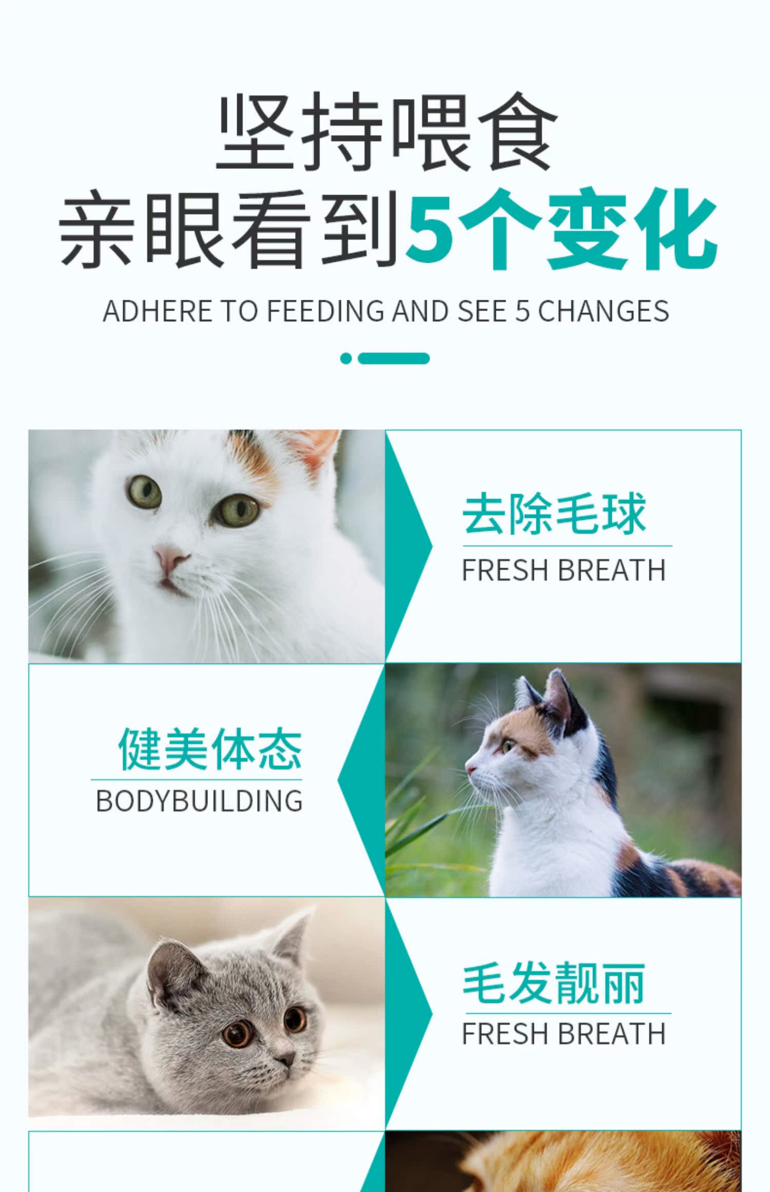 Thức ăn cho mèo Leopard cá biển sâu tự nhiên thịt cá hồi hương vị 2,5kg vỗ béo vào mèo chính hạt bóng tóc 5 - Cat Staples minino yum 1.5 kg