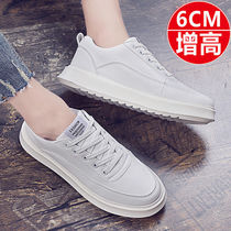 Back Force Summer New Interior Heightening Small White Shoes Guys 100 hitch student Han version Trend shoes Mens board Shoe original Cebu Wind