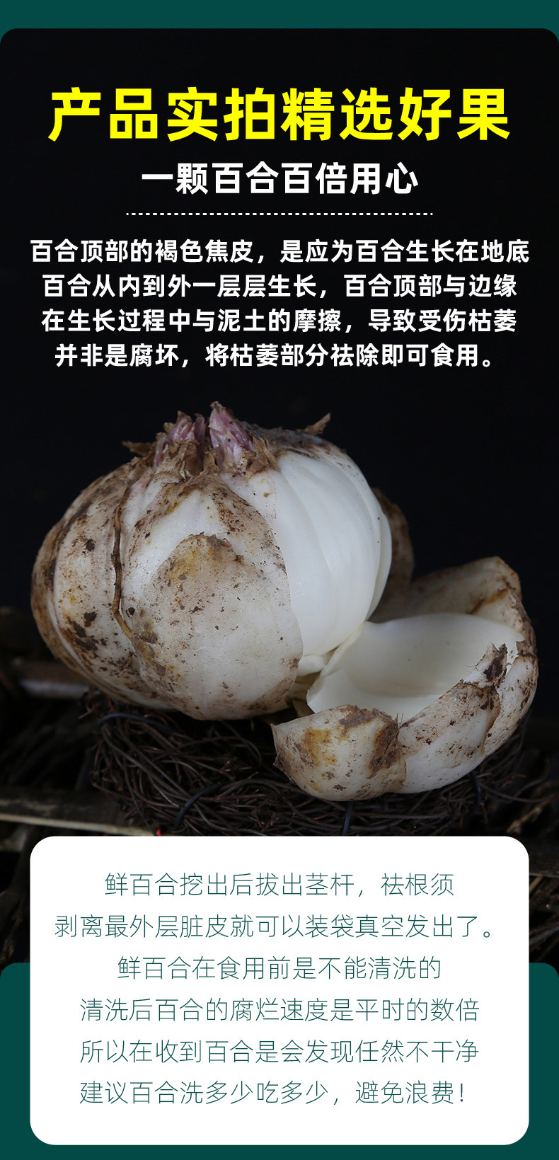 首兰 鲜甜兰州百合 9颗共500g 真空包装 天猫优惠券折后￥29包邮（￥39-10）