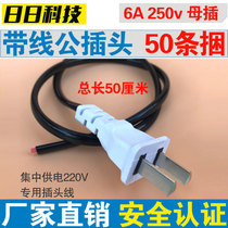 AC plug 220V power cord two-foot male plug pure copper 0-5 m Two-hole plug monitoring power cord 50 cm