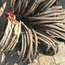 Tree vine dead vine wedding decoration red mountain vine pipe simulation vine grape leaves vine old vine branches fake plants