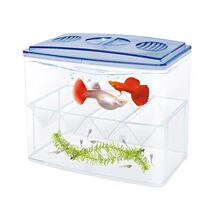 Multifunctional fish tank isolation box outside the tank breeding box guppy breeding box delivery room small fry incubator isolation