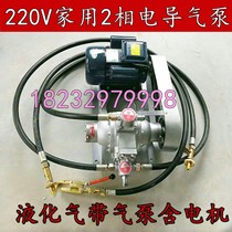 220V liquefied gas pump guide air pump 48V car-mounted reverse air pump Inflatable pipe gas high pressure pump propane pump