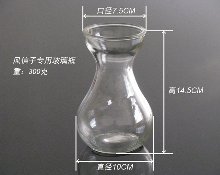 Bình thủy tinh đặc trưng của lục bình Bình hoa lục bình Có thể được trồng bằng cây thủy canh như củ cải xanh - Vase / Bồn hoa & Kệ bình cắm hoa ly