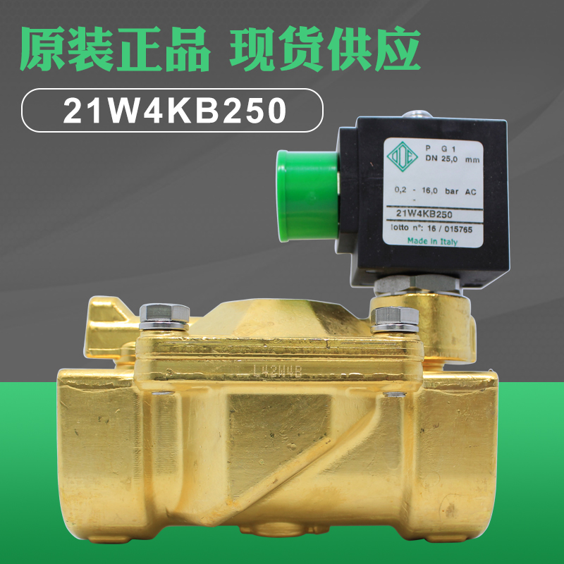 Italy ODE brass wire buckle two-way solenoid valve normally closed type 21W4KB250 spot 1 inch 24V 110V