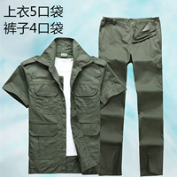 Цинь Чжан [короткий рукав] набор