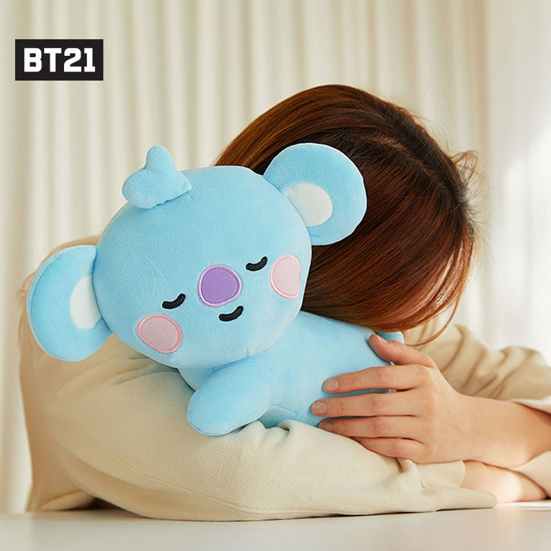 bt21 mini pillow