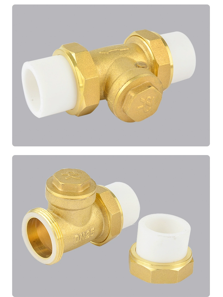 Van một chiều hoàn toàn bằng đồng đồng ngang 4 phút 6 phút Máy bơm nước 1 inch DN15 ống nước 20 van một chiều 25 van 32 40 50