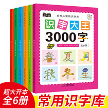 Kindergarten 1-3-4 Years Old Baby Literacy Books Literacy Textbooks Children Early Learning Enlightenment Literacy Complete Set 3000 Words