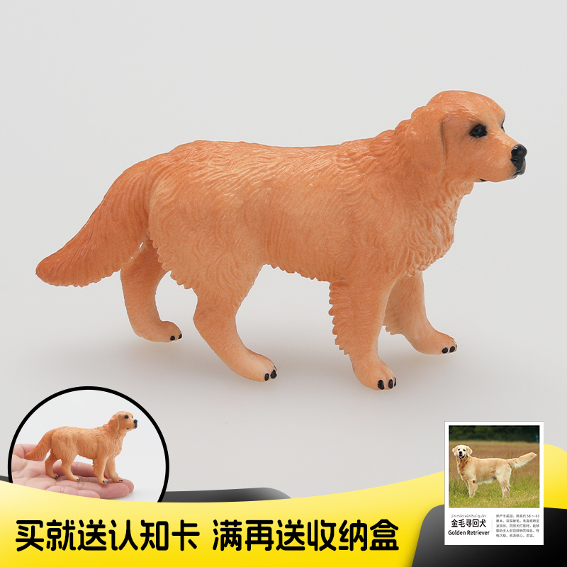 Realistic Simulation Animal Children's Toy Golden Retriever Dog Pet Early Education Cognitive Gift Ornament Realistic Simulation Animal Children's Toy Golden Retriever Dog Pet Early Education Cognitive Gift Ornament