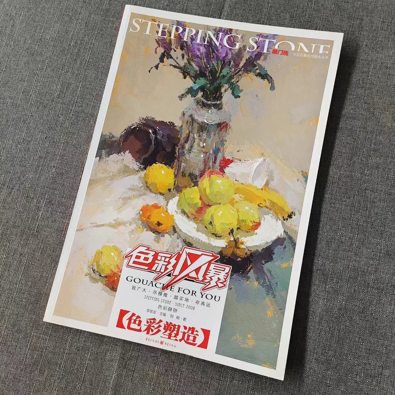 色彩风暴（8K）色彩静物*色彩塑造敲门砖系列美术丛书